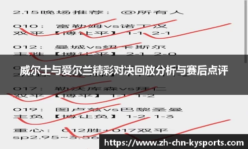 威尔士与爱尔兰精彩对决回放分析与赛后点评